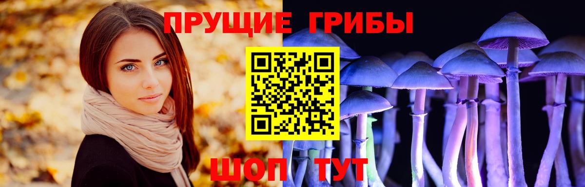 Псилоцибиновые грибы ЛСД Сланцы